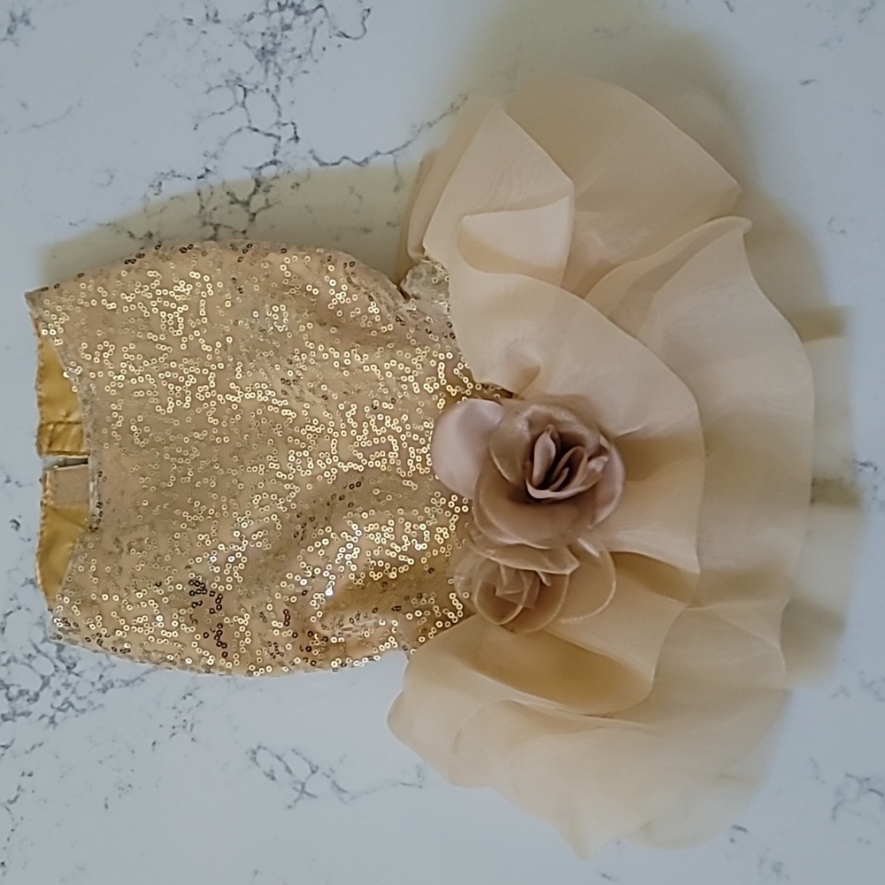 Dress for dog